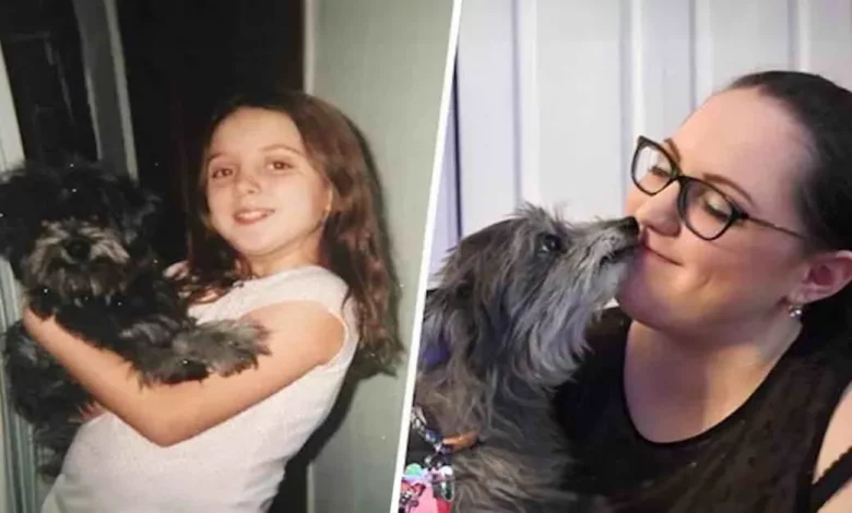Mulher Descobre que o Cachorro Velho que Ela Acabou de Adotar Era o Mesmo que Ela Tinha Quando Era Criança Mulher Descobre que o Cachorro Velho que Ela Acabou de Adotar Era o Mesmo que Ela Tinha Quando Era Criança