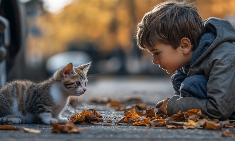 O menino todas as manhãs levava comida para um gato de rua, até que um dia encontrou um presente inesperado na porta de sua casa O menino todas as manhãs levava comida para um gato de rua, até que um dia encontrou um presente inesperado na porta de sua casa