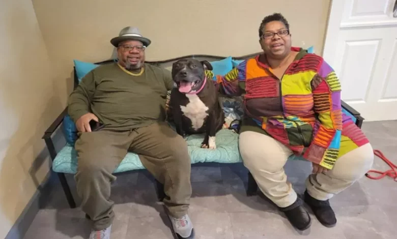 Cachorra de 9 anos que ficou em abrigo em Ohio por mais de 2 anos é adotada: ‘Combinação Perfeita’ Cachorra de 9 anos que ficou em abrigo em Ohio por mais de 2 anos é adotada: ‘Combinação Perfeita’