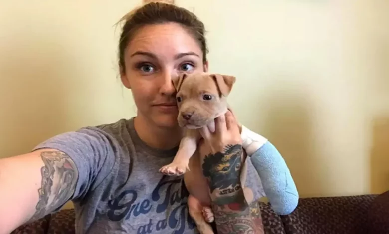 Filhote de Pit Bull com três pernas é exatamente o que sua nova mãe precisava Filhote de Pit Bull com três pernas é exatamente o que sua nova mãe precisava