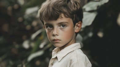 O menino deixava comida no parapeito da janela e, um dia, viu um par de olhos curiosos pela vidraça