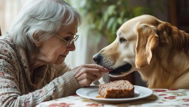 No domingo passado, durante um jantar em família, a mãe do meu marido permitiu que o cachorro dela comesse diretamente do prato dela. Até agora, eu ainda não consigo me recuperar disso…