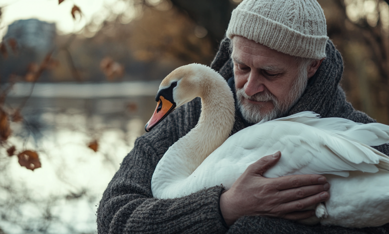 Um voluntário encontrou um cisne ferido e cuidou dele – um ano depois, a ave voltou com um convidado inesperado Um voluntário encontrou um cisne ferido e cuidou dele – um ano depois, a ave voltou com um convidado inesperado
