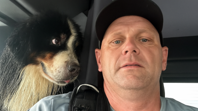 Os ‘Olhos do Cachorro Dizem Tudo’ Após Dramático Resgate das Águas da Enchente Causadas pelo Furacão