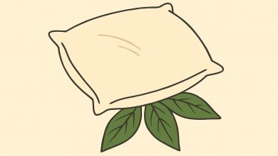 A minha sogra sempre coloca uma folha de louro debaixo do travesseiro do meu marido. Eu pensava que era alguma magia… até descobrir a verdade…