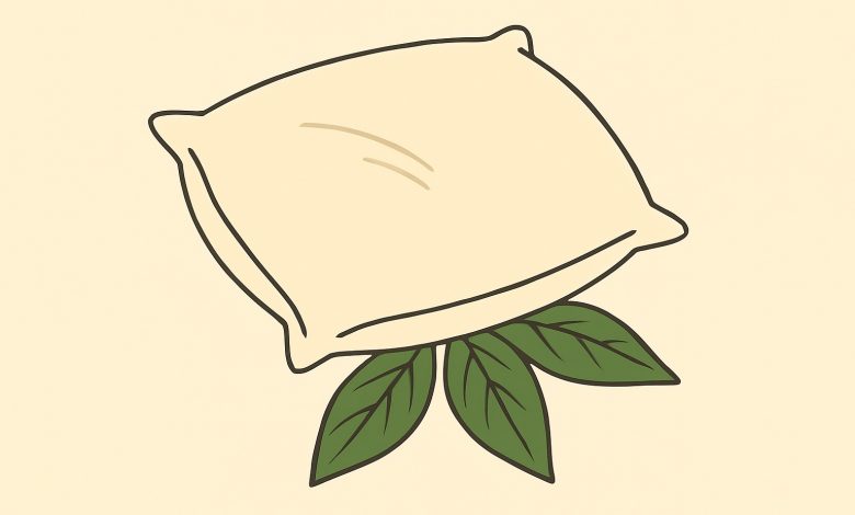 A minha sogra sempre coloca uma folha de louro debaixo do travesseiro do meu marido. Eu pensava que era alguma magia… até descobrir a verdade…