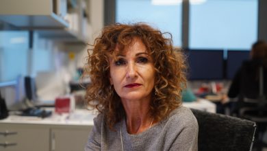 Uma colega me comprometeu por sete anos na frente dos chefes, mas então me pediu para cobri-la em uma apresentação importante. Eu concordei e fiz algo que nem eu esperava…