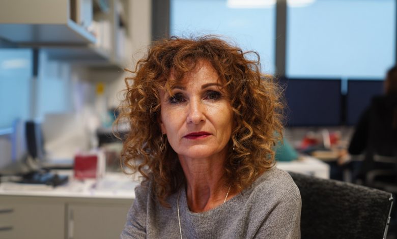 Uma colega me comprometeu por sete anos na frente dos chefes, mas então me pediu para cobri-la em uma apresentação importante. Eu concordei e fiz algo que nem eu esperava…