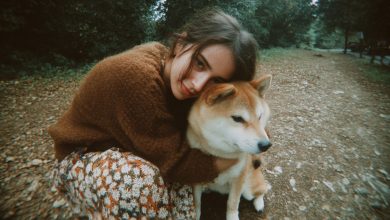 As irmãs estavam dividindo a casa da avó. Eu só fiquei com o cachorro velho dela — e fiquei sem palavras quando escaneei o código na coleira dele