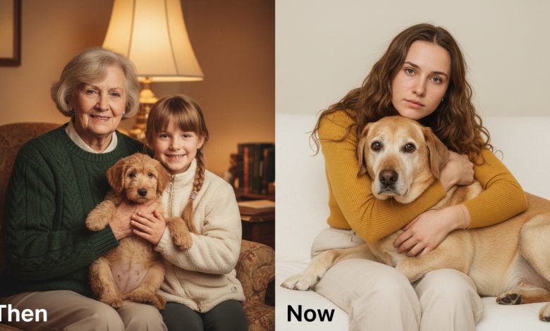 A avó deixou cem mil ao primo ganancioso. Para mim — um cachorro velho. Acontece que o cão guardava um segredo A avó deixou cem mil ao primo ganancioso. Para mim — um cachorro velho. Acontece que o cão guardava um segredo