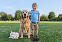 O cachorro do vizinho desenterrou um pacote no meu quintal — a polícia chegou em 15 minutos