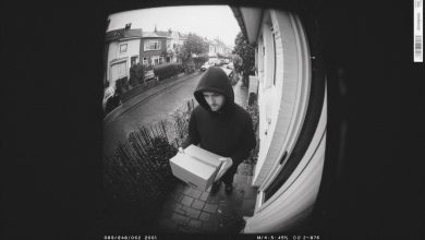 Minhas encomendas desapareciam uma após a outra. Eu encontrei uma maneira de pegar o ladrão…