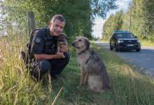 Um filhote correu até os policiais pedindo ajuda. O que aconteceu em seguida é difícil de esquecer…