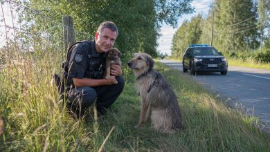 Um filhote correu até os policiais pedindo ajuda. O que aconteceu em seguida é difícil de esquecer…