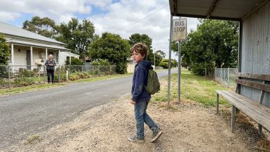 Ele tinha seis anos. Viajou sessenta quilômetros sozinho para descobrir se sua avó era realmente uma pessoa má.