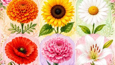 Escolha uma flor e descubra qual traço de personalidade a torna especial