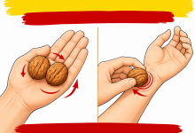 Para aliviar a tensão e acalmar os nervos em um minuto ajudam… 2 nozes!
